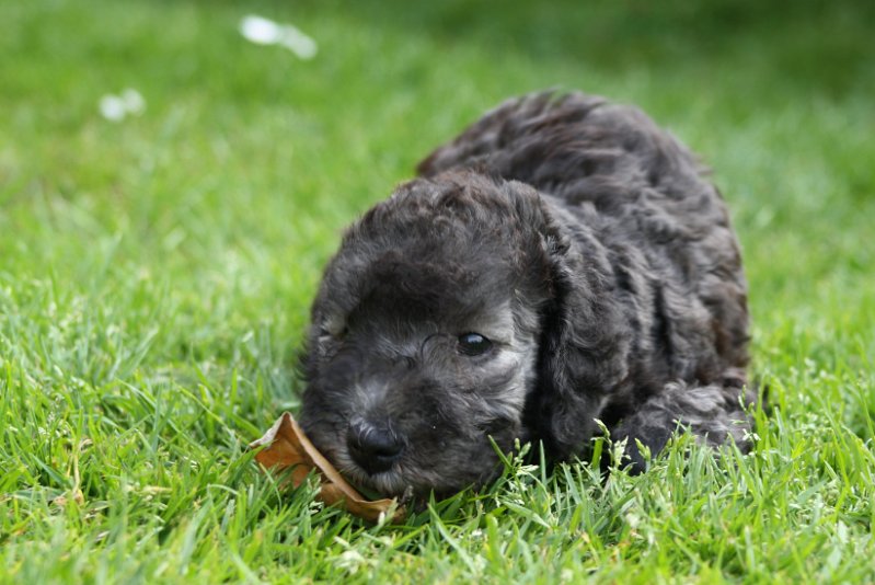Arc-en-ciel Antares 2009-06-30 (17).JPG